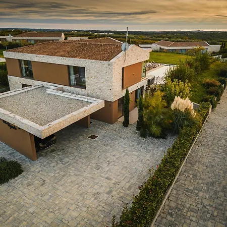 Vigneto