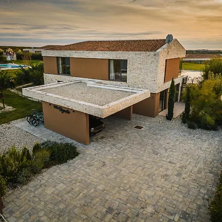 Vigneto