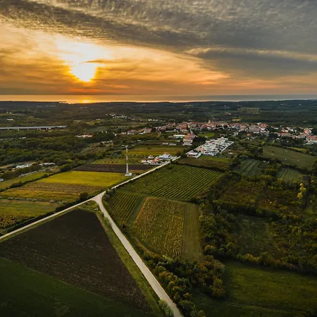 Vigneto Villa Brtonigla