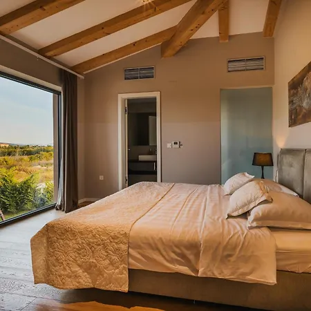 Vila Vigneto Villa Brtonigla