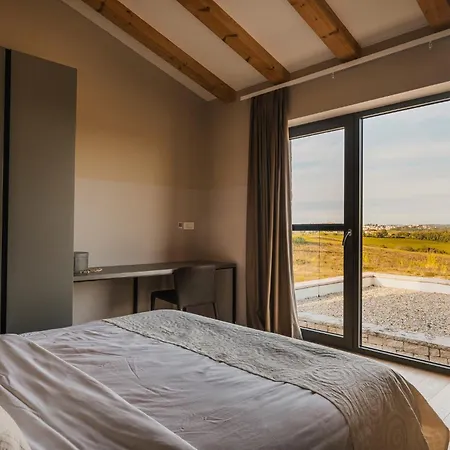 Villa Vila Vigneto Brtonigla